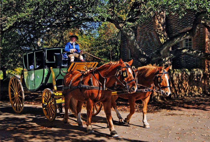 Colonial Wiliamsburg Carriage