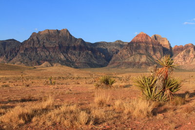 Desert_8710_1440.JPG