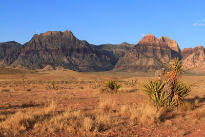 Desert_8710_1440.JPG