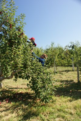 RencontreGauthierPP_226.JPG