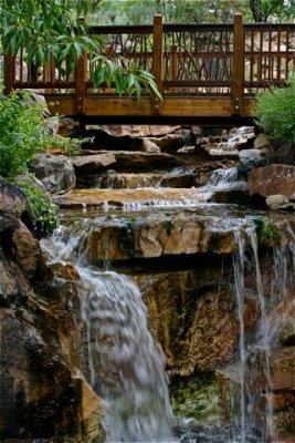 Alpine Garden--Vail 2010
