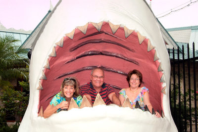 October 2008 - Brenda, Don and Linda Mitchell Grother