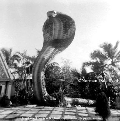 The original giant Cobra statue at the Miami Serpentarium