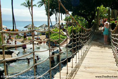 2009 - a swing bridge over one of the swimming pools and water slide at the Hyatt Regency on Kaanapali Beach