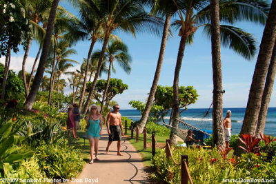 2009 - the lushly landscaped public walkway along Kaanapali Beach
