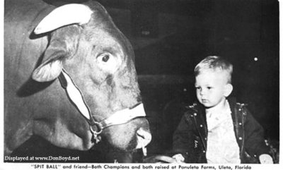 1950s - Spit Ball and a young David Wolf at the Panuleta Farms, Uleta