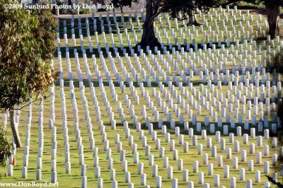 Head stones in the late afternoon at the Fort Rosecrans National Cemetery on Point Loma stock photo #4763