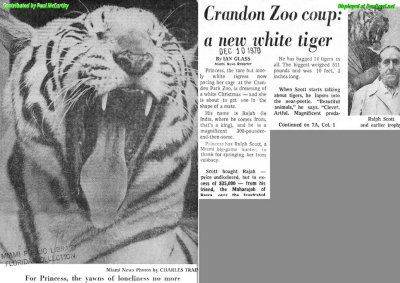 1970 - article about Rajah the white tiger donation to the Crandon Park Zoo a week before Princess died - Part 1