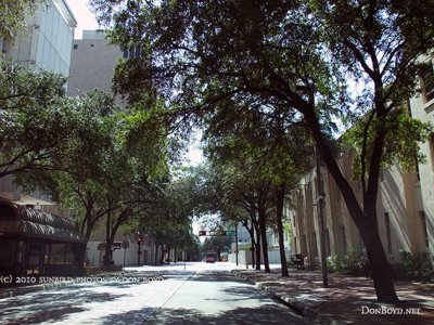 2010 - shady Marion Street looking southward with the Federal Building on the left side  (#4110)