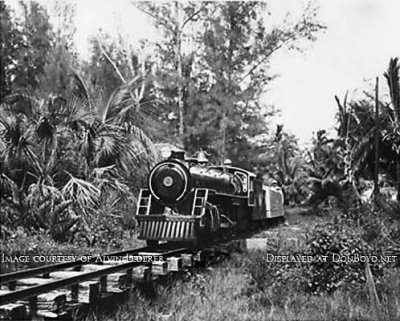 1950's/1960's - the Crandon Park Train chugging through the wilderness of Key Biscayne