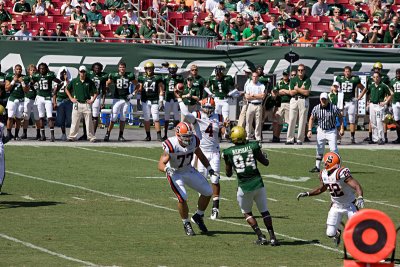 IMG_2695.jpg
