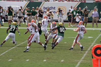 IMG_2782.jpg