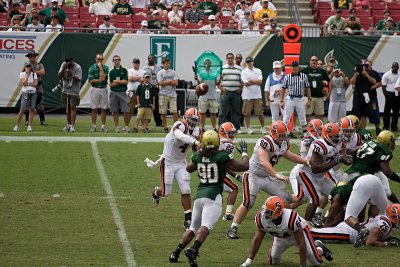 IMG_2806.jpg