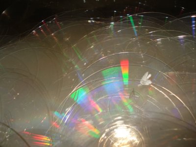 1. clear PC CD disc