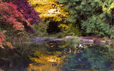 Seattle Arboretum