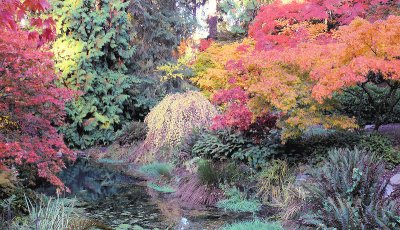 Seattle Arboretum