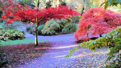Seattle Arboretum