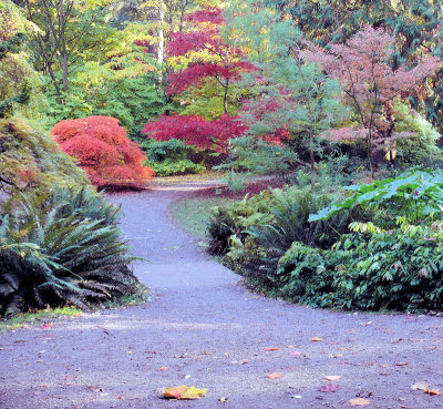 Seattle Arboretum