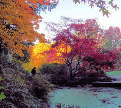 Seattle Arboretum