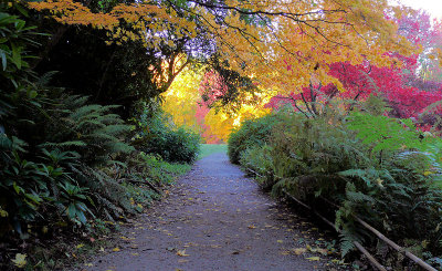 Seattle Arboretum