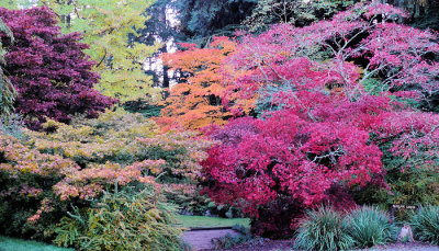 Seattle Arboretum