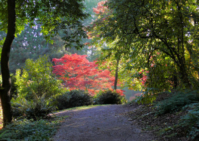 Seattle Arboretum