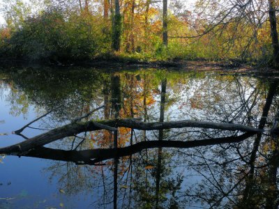 Seattle Arboretum