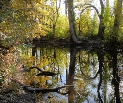 Seattle Arboretum