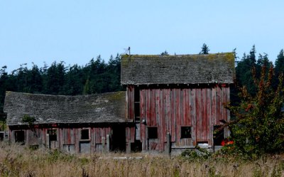 Whidbey Island Barn