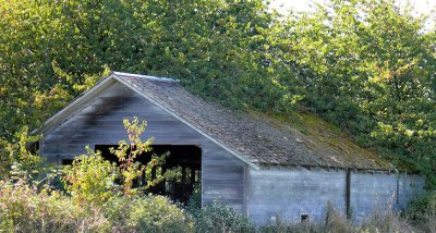 Whidbey Island Barn
