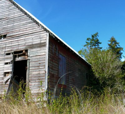 Whidbey Island Barn