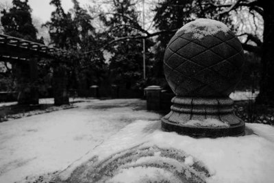 Snow in Fort Worth Garden