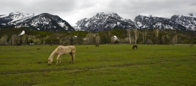 Teton NP