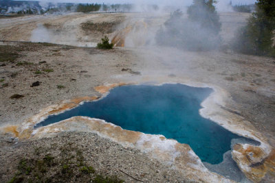 Hot Spring in Yellostone NP