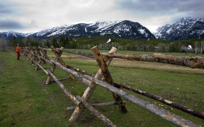 Fences Teton NP