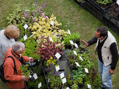 Fte des plantes