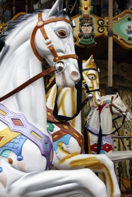 Chevaux de mange - Merry-Go-Round Horses