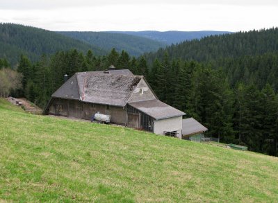 Black Forest farmhouse, 2009