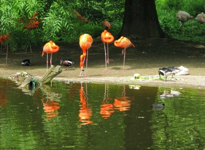 Krefeld Zoo, 2009