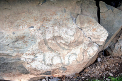 Decorated Stone, Knowth, Bru na Boinne