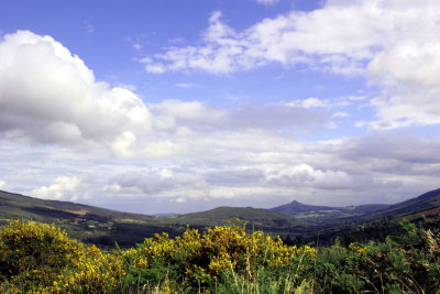 Panorama, Wicklow Way, County Wicklow