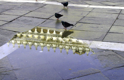 Rain Puddle in Piazza San Marco, Venice