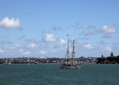Auckland Skyline