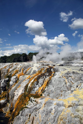 Geyser -Te Puia Geothermal Park, Rotorua