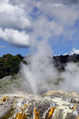 Spouting Geyser - Te Puia Geothermal Park, Rotorua