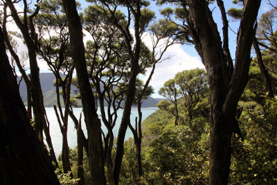 Motorua Island Panorama, Picton