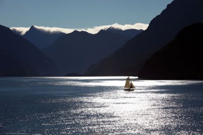 Scenic Cruising - Dusky Sound