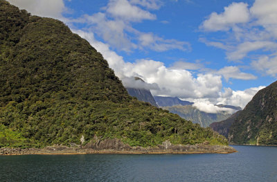 Scenic Cruising - Milford Sound