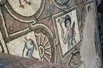 Mosaic, Church Floor, Petra