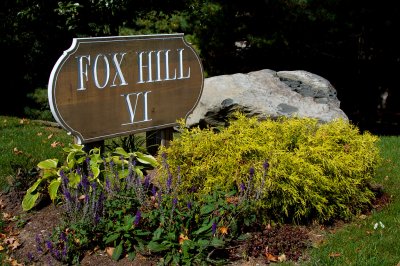 Fox Hill